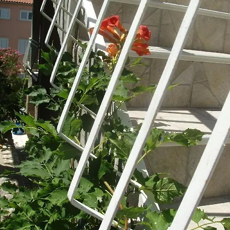 Appartement With A Parking Space Slano, Dubrovnik - 12576