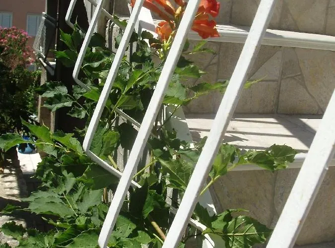 Apartament With A Parking Space Slano, Dubrovnik - 12576